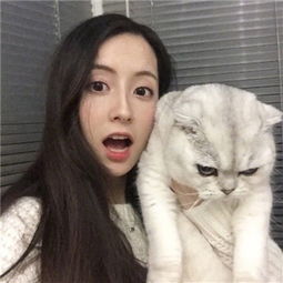 十万个救兵破解版下载